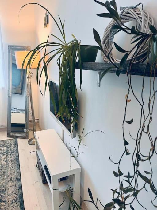 Apartament Lorand'S Place Near The River Kluż-Napoka Zewnętrze zdjęcie