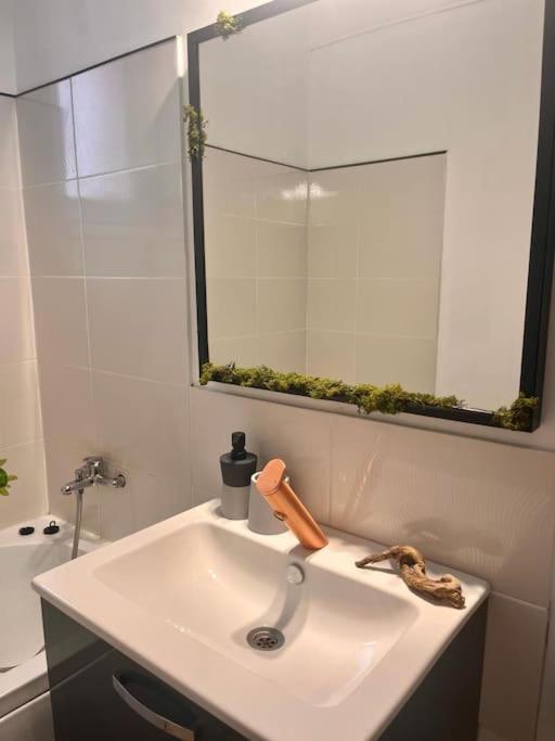 Apartament Lorand'S Place Near The River Kluż-Napoka Zewnętrze zdjęcie
